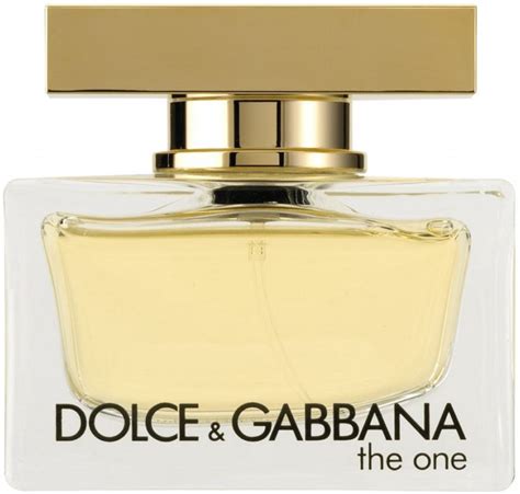 dolce & gabbana the one woman 100 ml|dolce website.